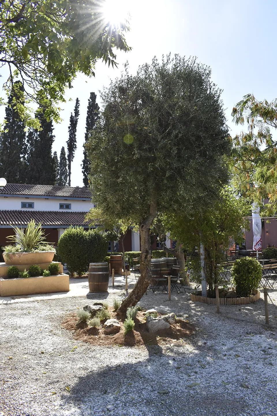 into the Othonian Court