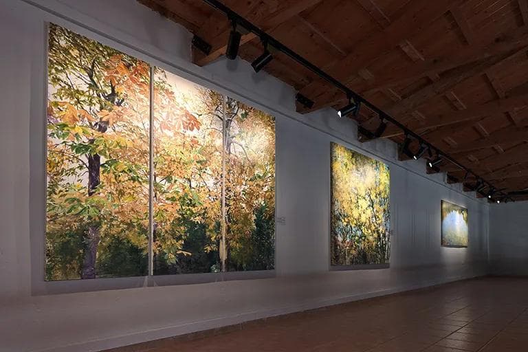 a room with paintings into the Othonian Court