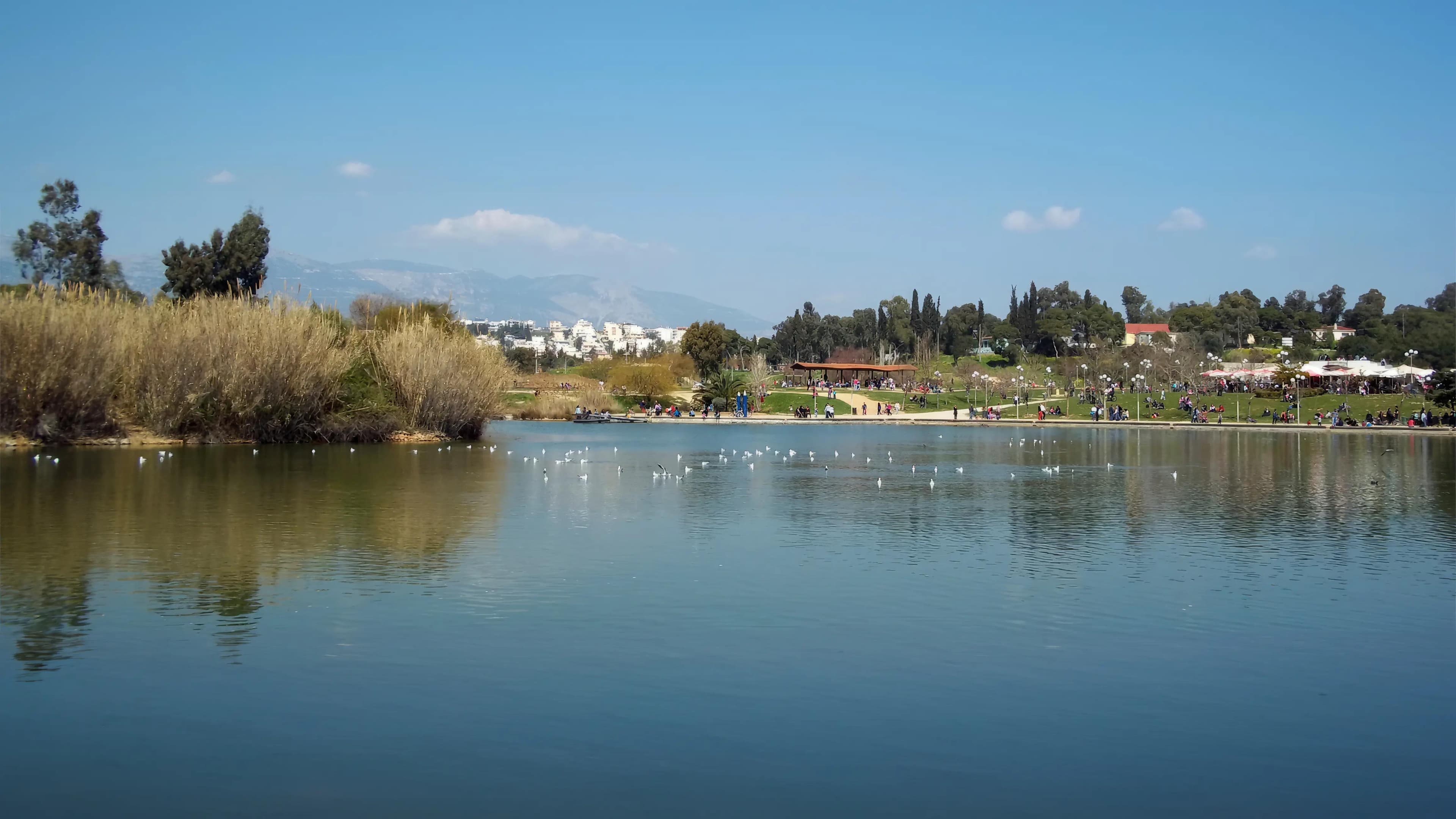 Photo of a lake with birds